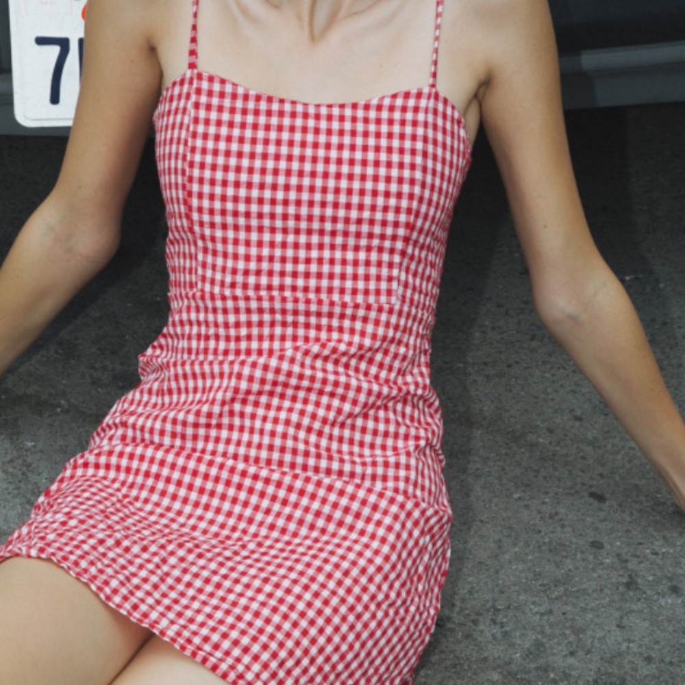 NWT Brandy Melville Karla dress